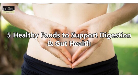5 Healthy Foods to Support Digestion & Gut Health