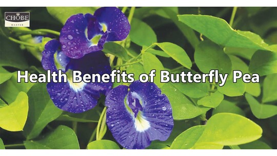 Health Benefit Of Butterfly Pea