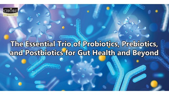 The Essential Trio of Probiotics, Prebiotics, and Postbiotics for Gut Health and Beyond
