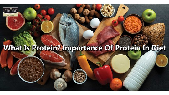 What Is Protein? Importance Of Protein In Diet