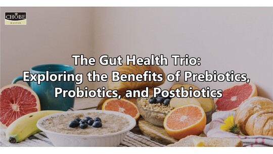 Exploring the Benefits of Prebiotics, Probiotics, and Postbiotics