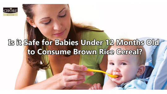 Is it Safe for Babies Under 12 Months Old to Consume Brown Rice Cereal Food?