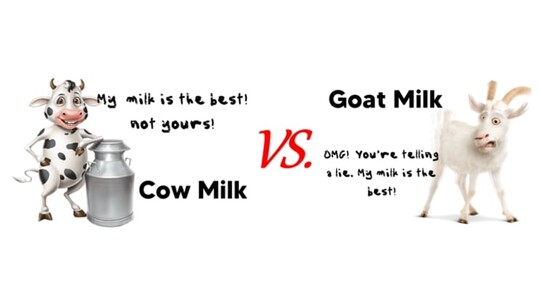 Cow vs Goat: The Great Milk Debate