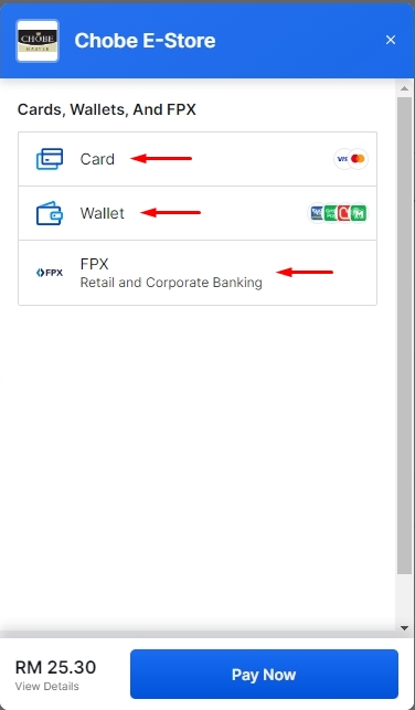 chobe master payment method