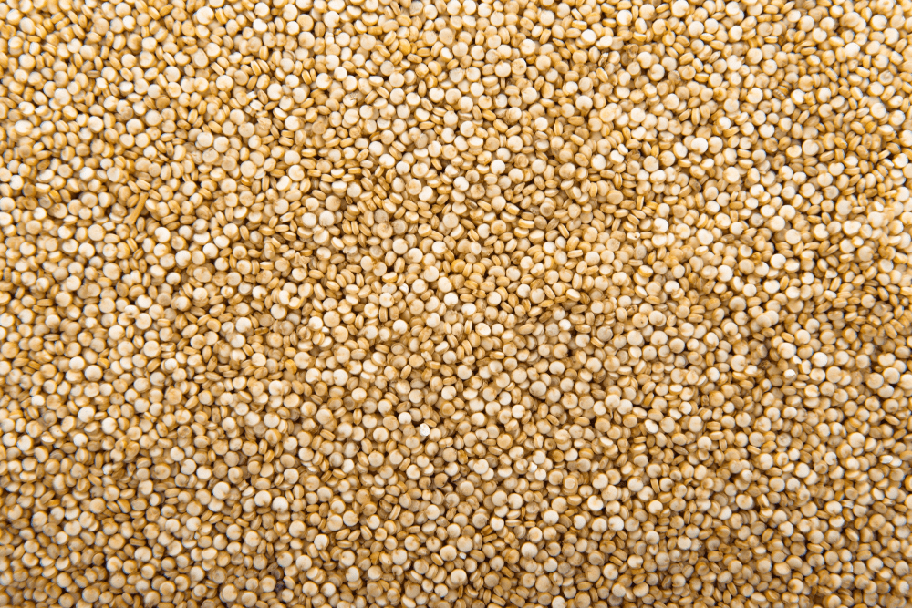 quinoa