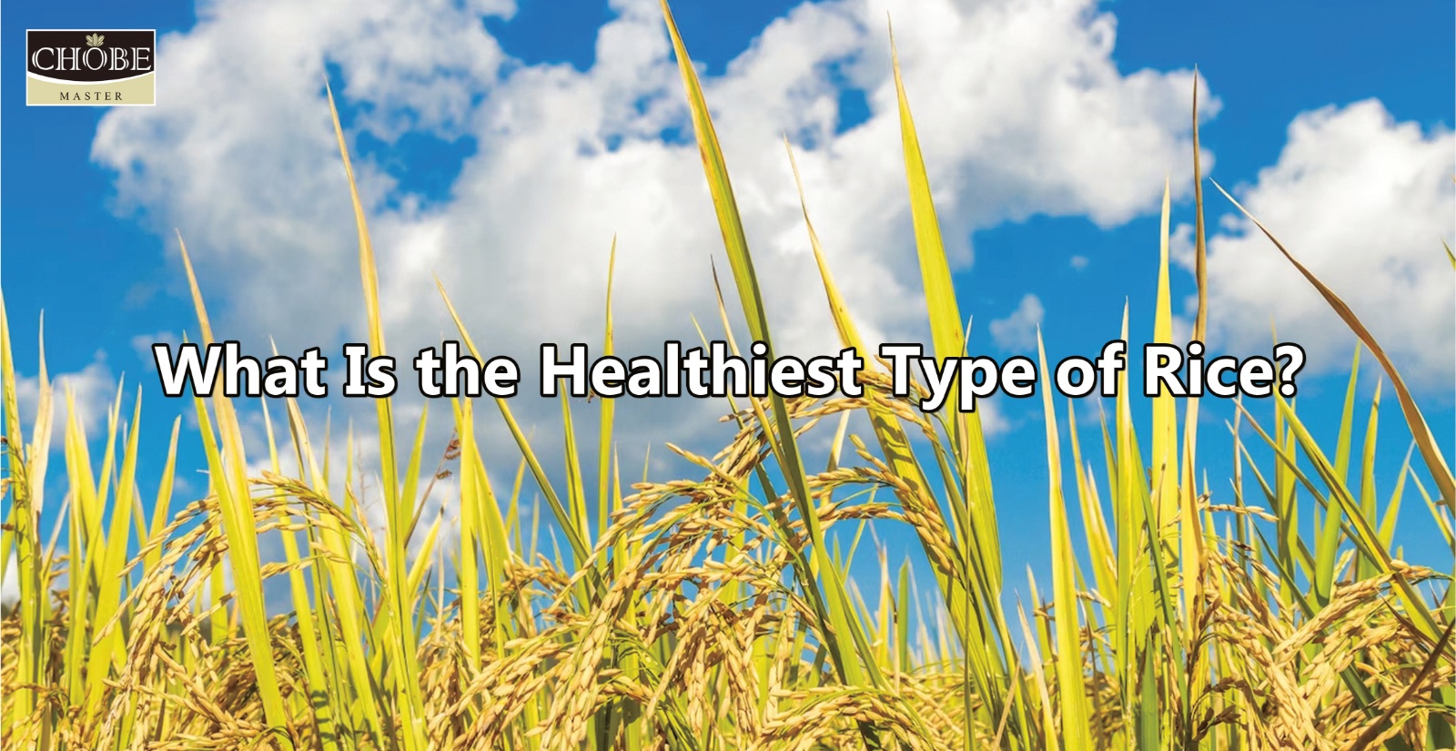 What Is The Healthiest Type Of Rice